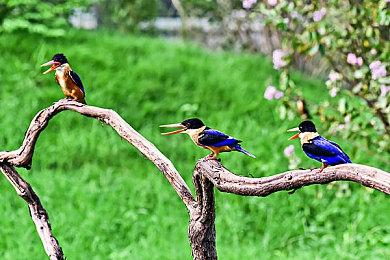 《光与影：33号远征队》暂无DLC计划 或将推出无障碍功能与新内容！